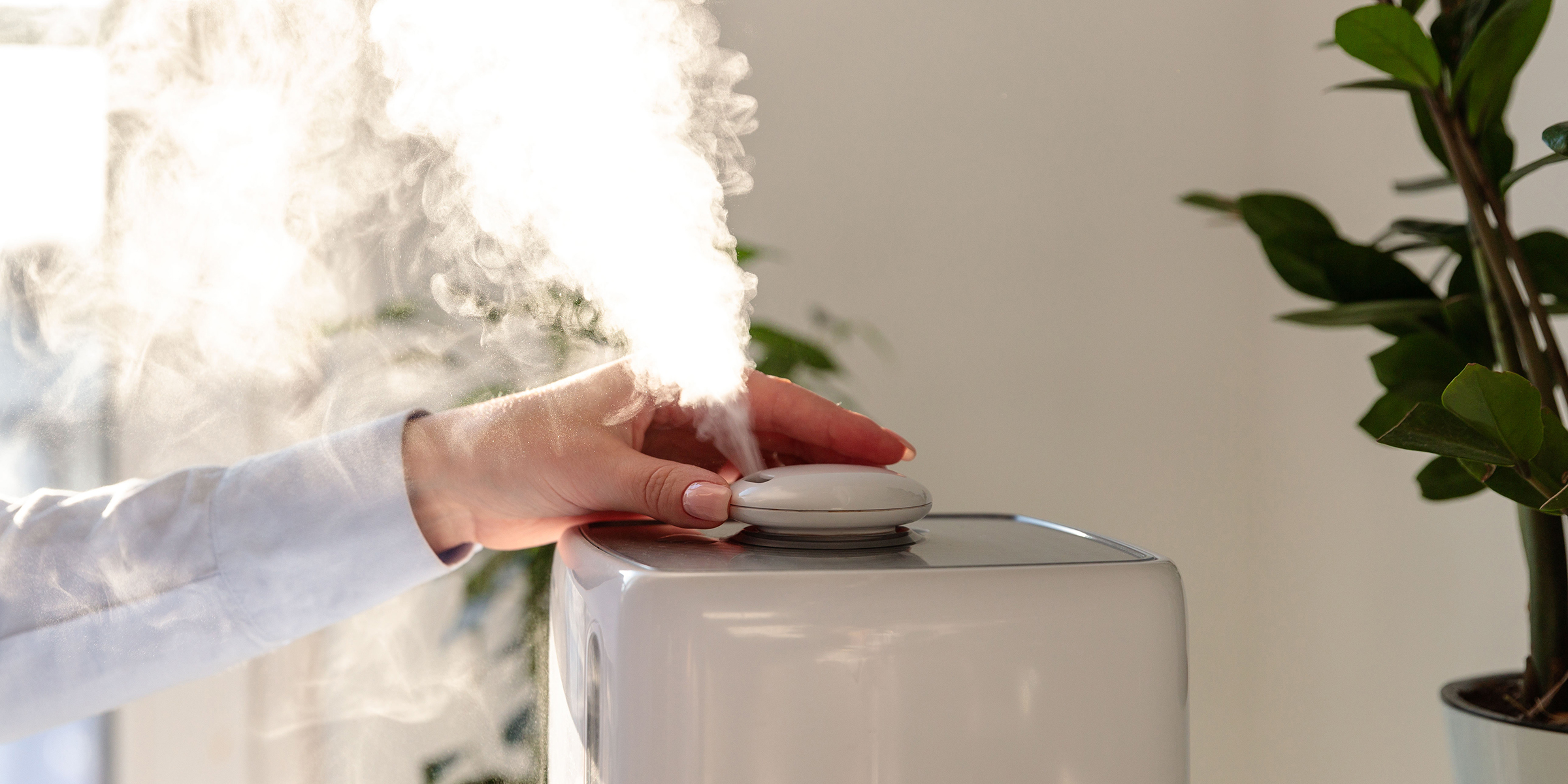 What Is the Difference Between a Humidifier and a Dehumidifier?