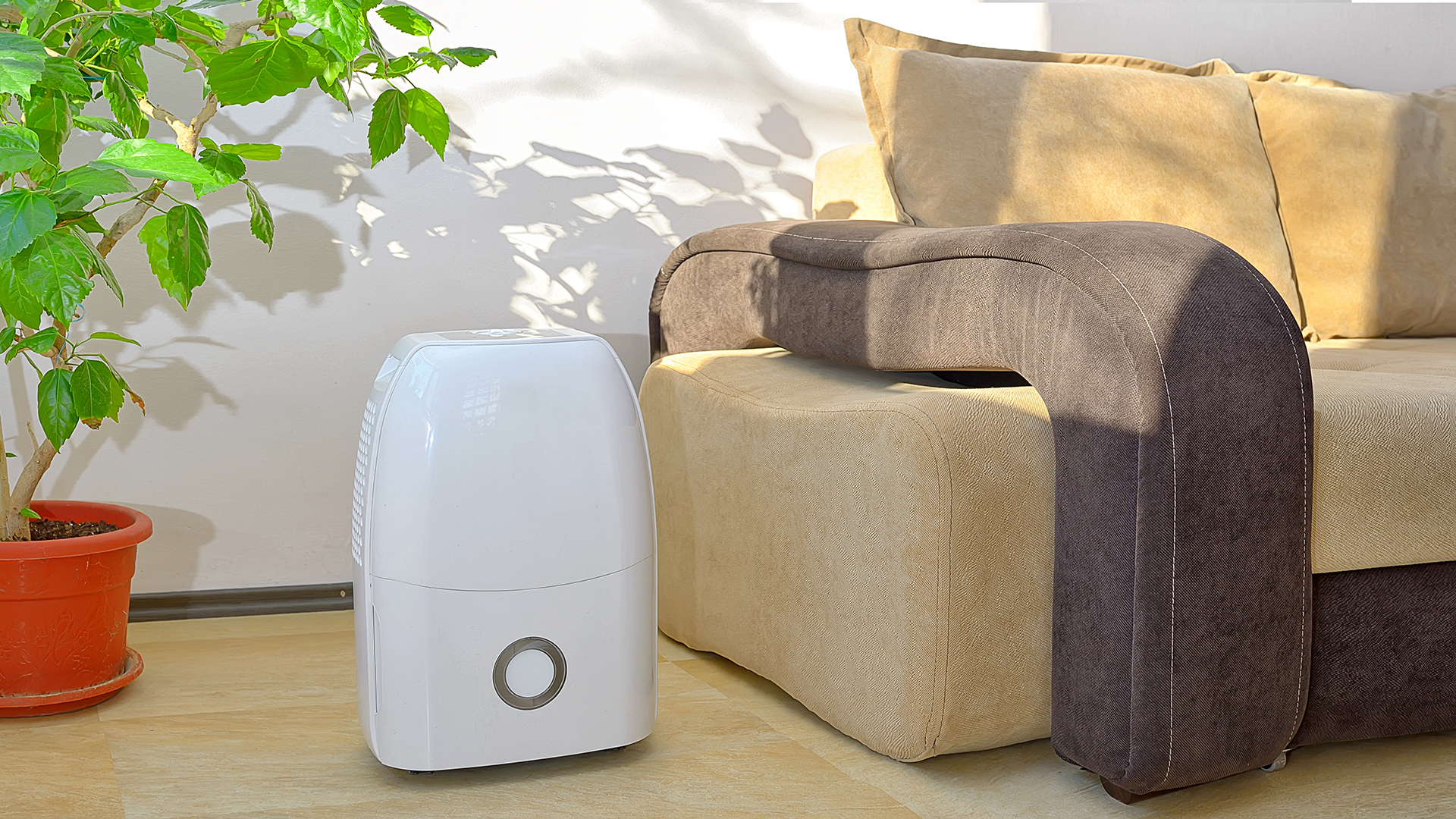 What Is the Difference Between a Humidifier and a Dehumidifier?