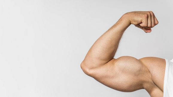 Die Top 10 Proteinshakes für effektiven Muskelaufbau und schnelle Regeneration